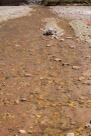 A walk up the Pariah River