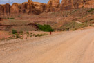 Along Kane Creek Road