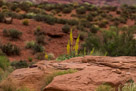 Along Kane Creek Road