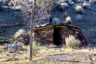 Ghost Town Ione Nevada