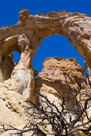 Grosvenor Arches