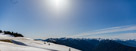 Hurricane Ridge on the Olympic Peninsula