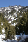 Hurricane Ridge on the Olympic Peninsula