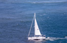 Hydrofoils on San Francisco Bay
