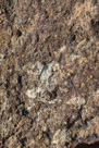 John Day Fossil Beds