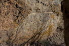 John Day Fossil Beds