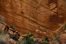 Native American Rock Art, Johnson Canyon Road, Kanab Utah