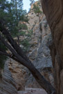 Lick Wash Slot Canyon