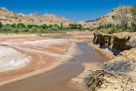 Pariah River from Cottonwood Road