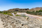 Pariah River from Cottonwood Road