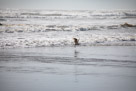 Ruby Beach, Olympic Peninsula, Washington