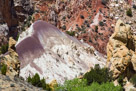 The Cockscomb