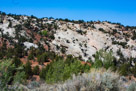 The Cockscomb