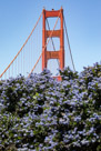 The Golden Gate Bridge