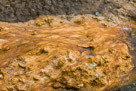 Yellowstone National Park - Grand Prismatic Spring