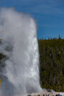 Yellowstone Old Faithful Geyser 