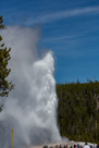 Yellowstone Old Faithful Geyser 