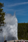 Yellowstone Old Faithful Geyser 