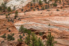 On the road through Zion National Park